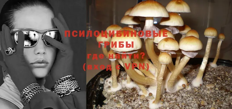 наркота  мега сайт  Галлюциногенные грибы Psilocybine cubensis  Невельск 